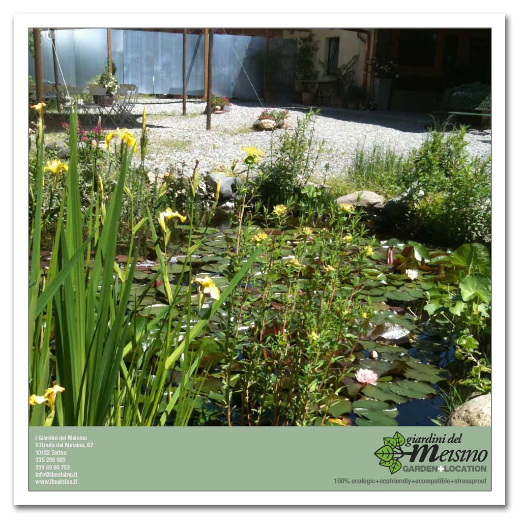 giardini meisino location torino 189